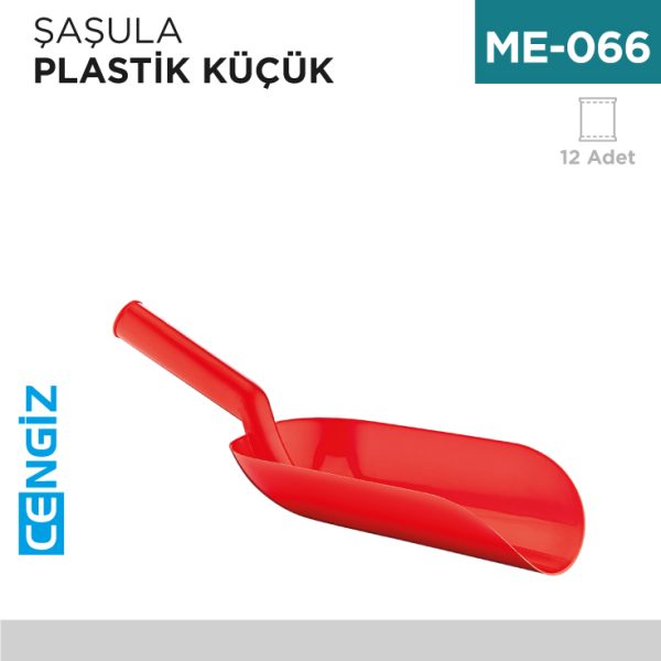 ŞAŞULA KÜÇÜK ZAMBAK (ZP 126)