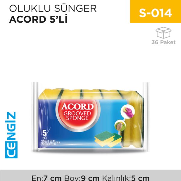 OLUKLU SÜNGER ACORD 5Lİ (521)
