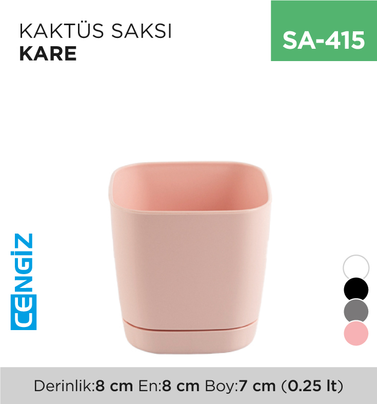 KAKTÜS SAKSI KARE (0.25 LT)