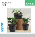 +İNCİ SAKSI NO :5 (15.30 LT) (KRS-345)