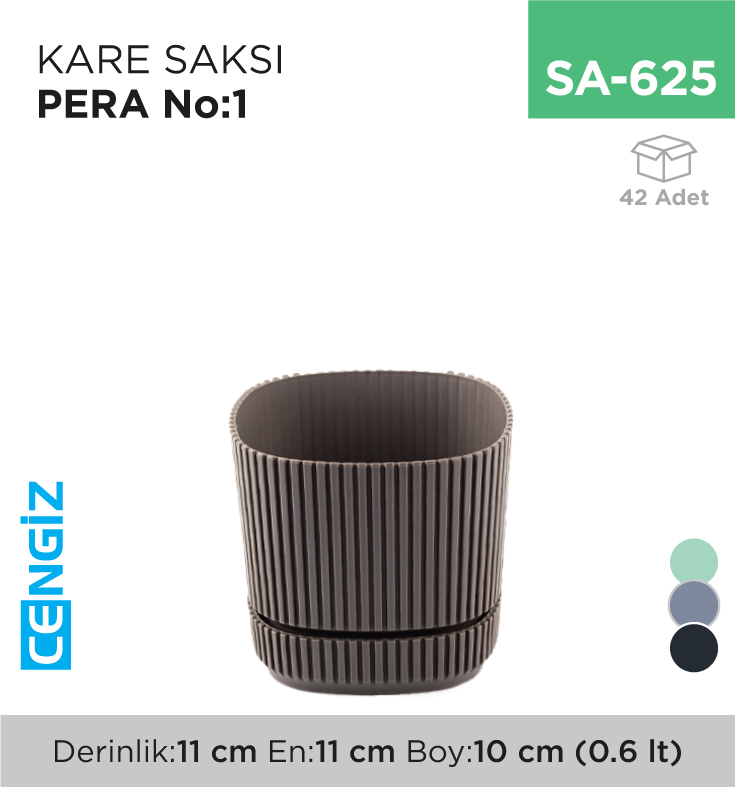 PERA KARE SAKSI NO :1 (0.60 LT) (KRS-241)