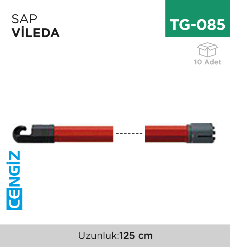 SAP VİLEDA
