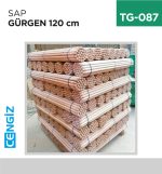 SAP GÜRGEN 120 CM