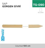 SAP GÜRGEN SİVRİ